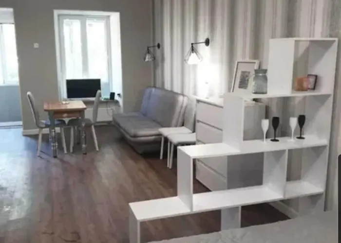 Apartment Stylish And Cozy ! Odesa